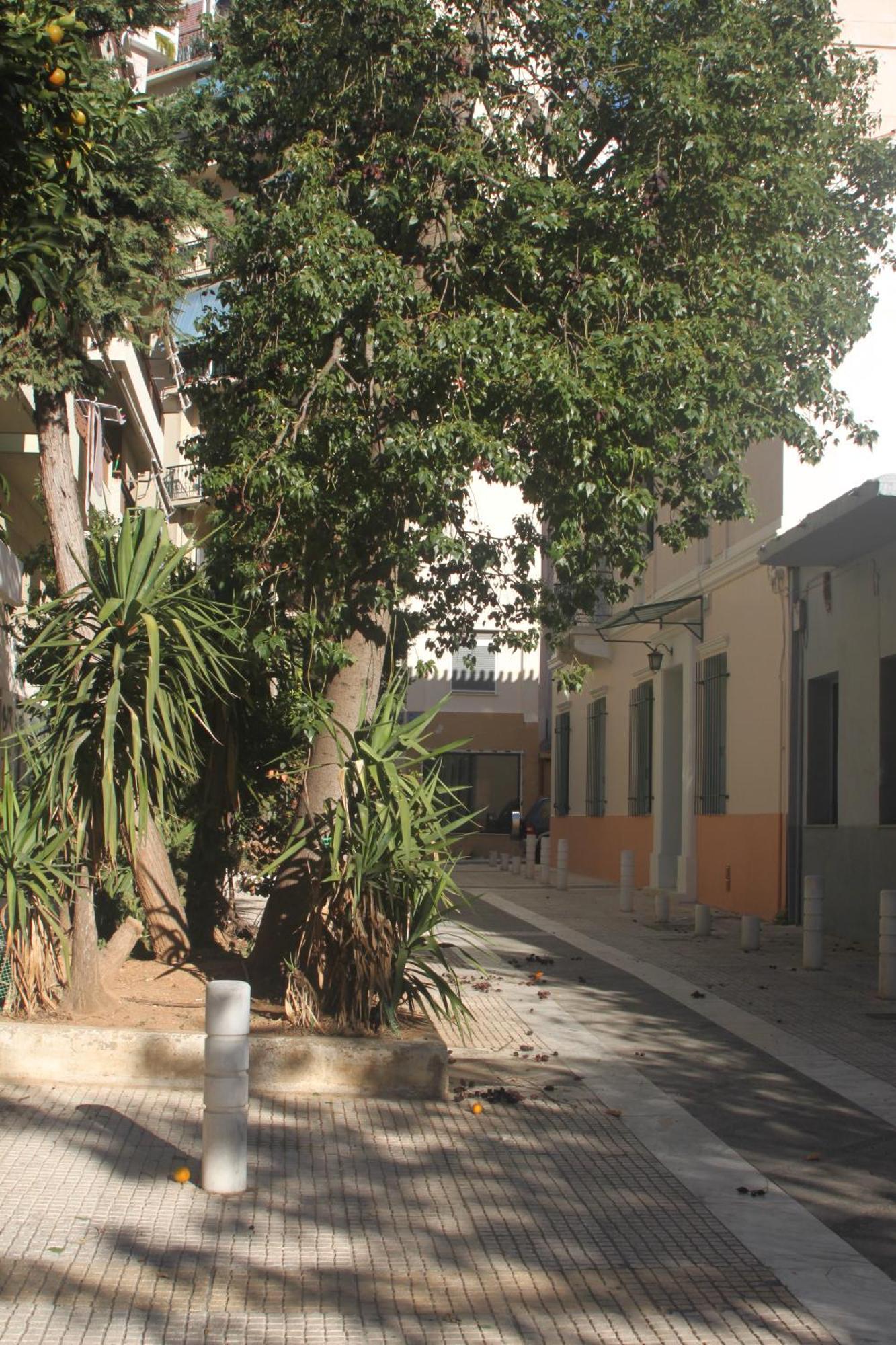 "Under The Olive Tree"- Beautiful Apartment In The Heart Of Athene Buitenkant foto