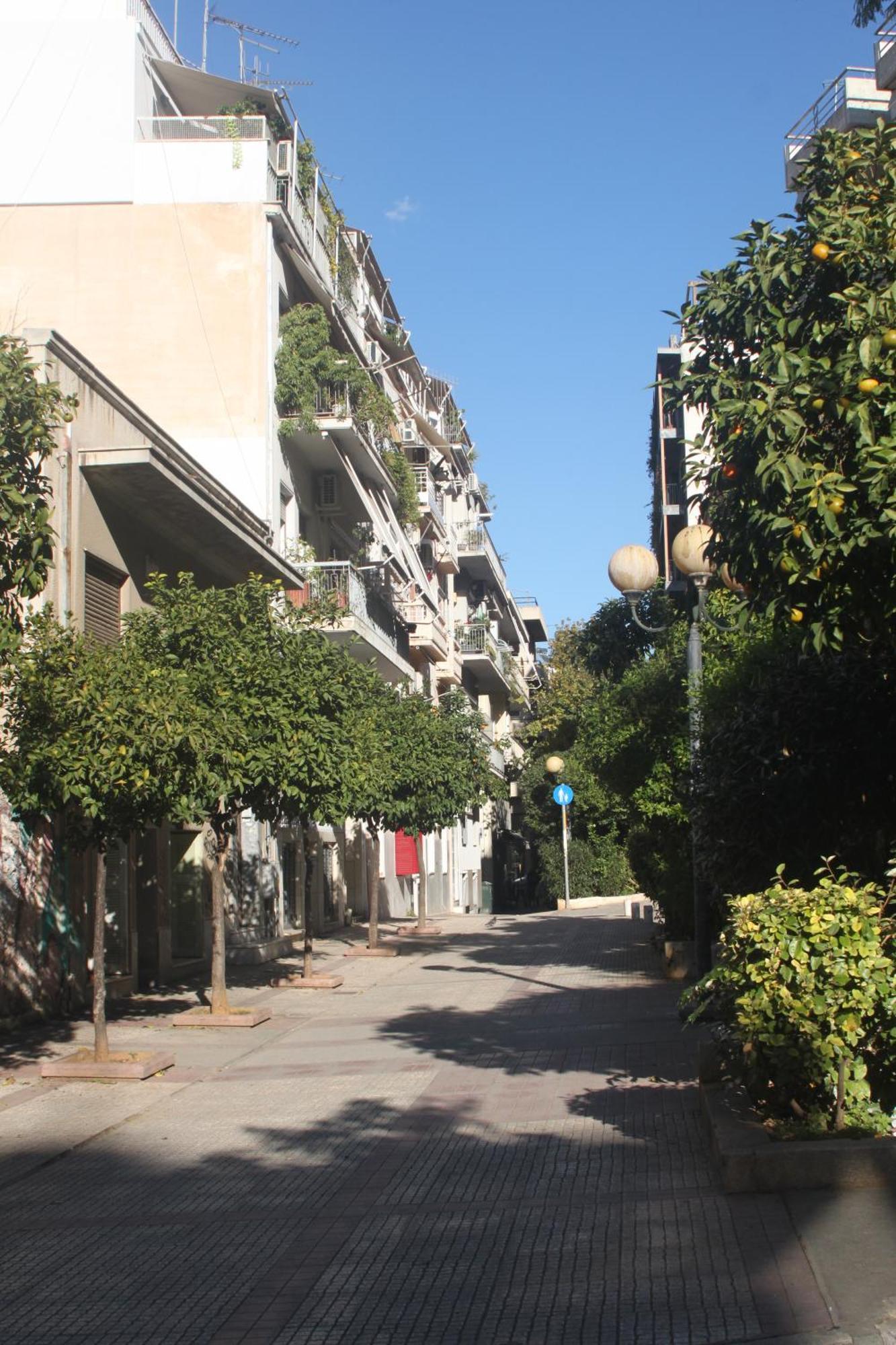 "Under The Olive Tree"- Beautiful Apartment In The Heart Of Athene Buitenkant foto