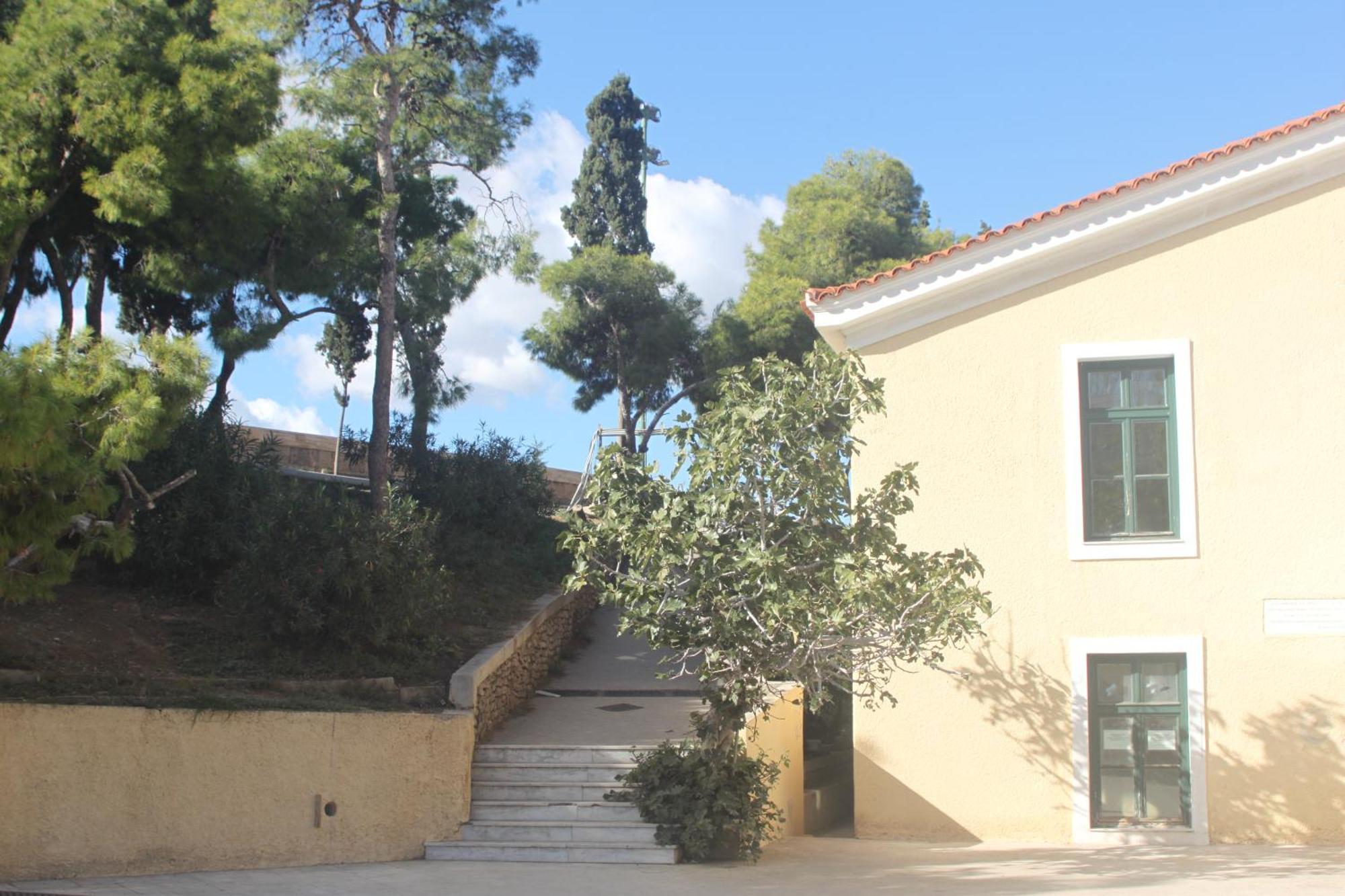 "Under The Olive Tree"- Beautiful Apartment In The Heart Of Athene Buitenkant foto