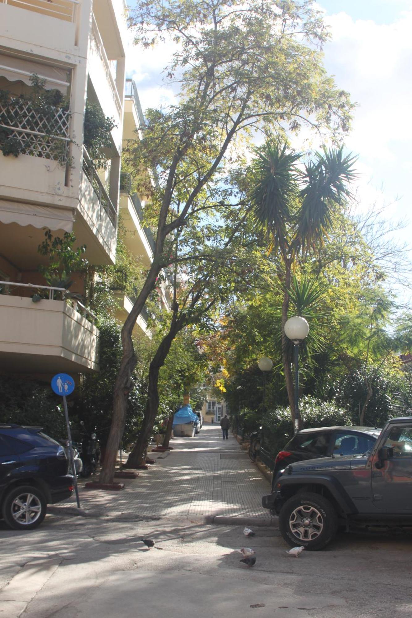 "Under The Olive Tree"- Beautiful Apartment In The Heart Of Athene Buitenkant foto